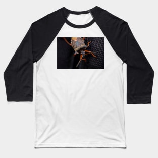 THE HITCHHIKER FOREST SHIELDBUG Baseball T-Shirt